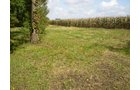 Property photo 29 - 75+/- Acres in 9 Tracts